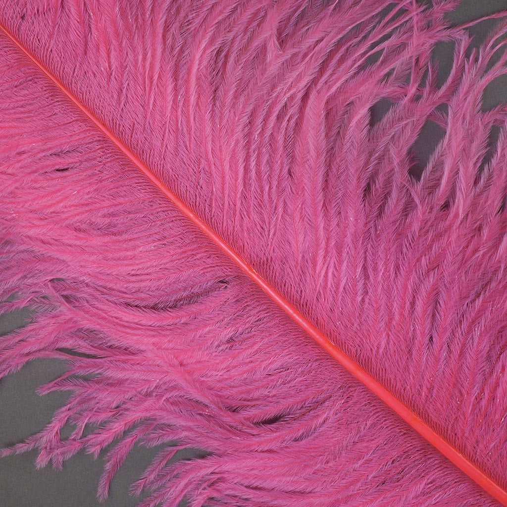 Large Ostrich Feathers - 20-25" Prime Femina Plumes - Pink Orient