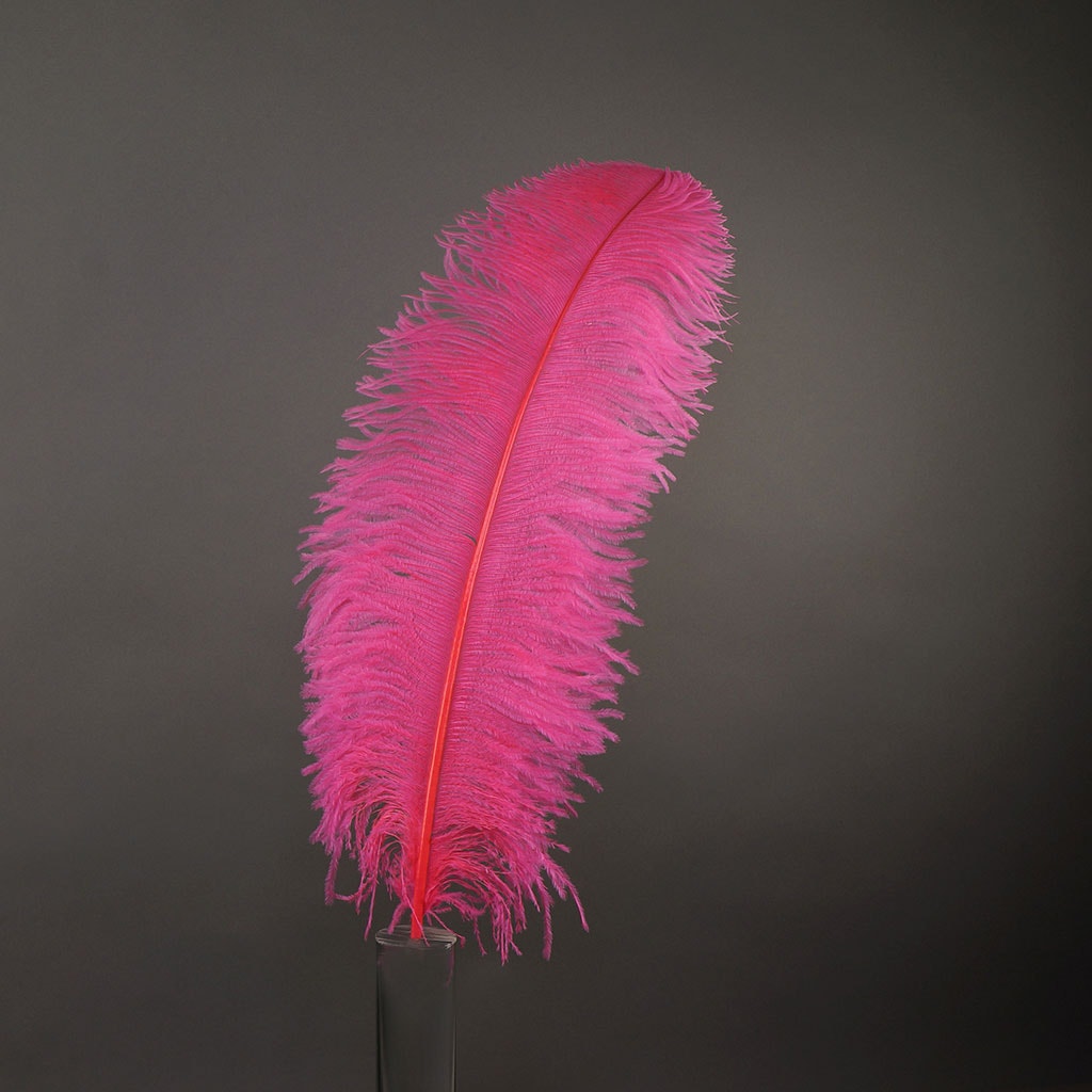 Large Ostrich Feathers - 20-25" Prime Femina Plumes - Pink Orient
