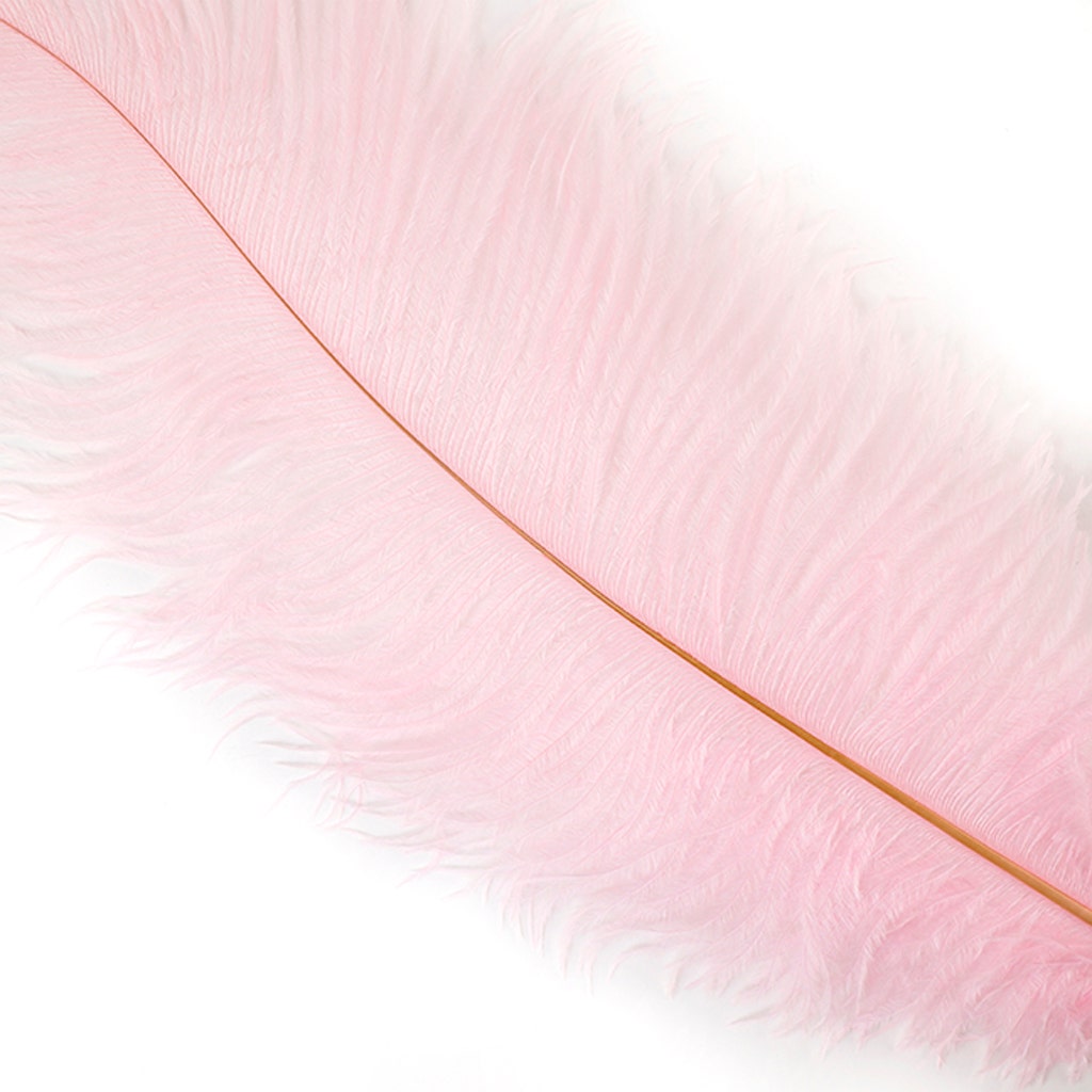 Large Ostrich Feathers - 18-24" Spads - Candy Pink