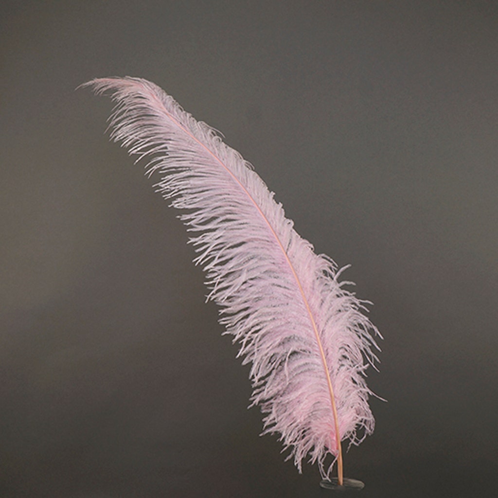 Large Ostrich Feathers - 18-24" Spads - Candy Pink