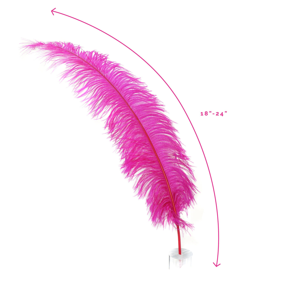 Large Ostrich Feathers - 18-24" Spads - Shocking Pink
