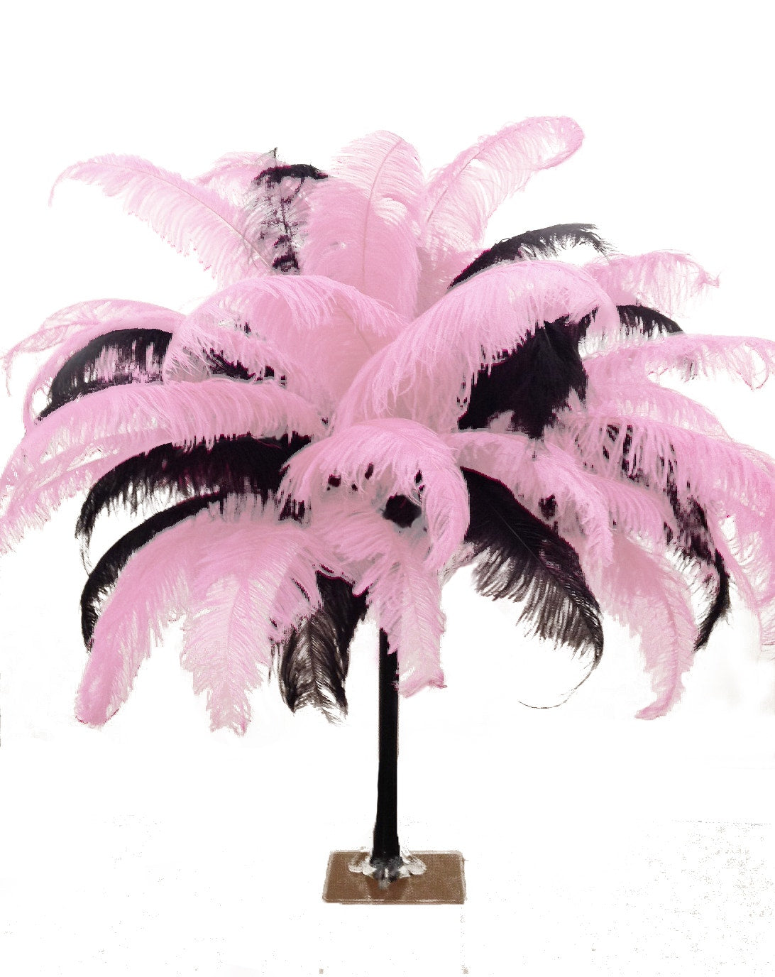 Large Ostrich Feathers - 18-24" Spads - Candy Pink