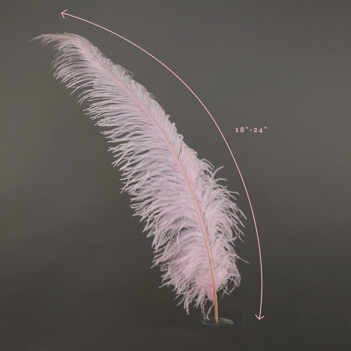 Large Ostrich Feathers - 18-24" Spads - Candy Pink