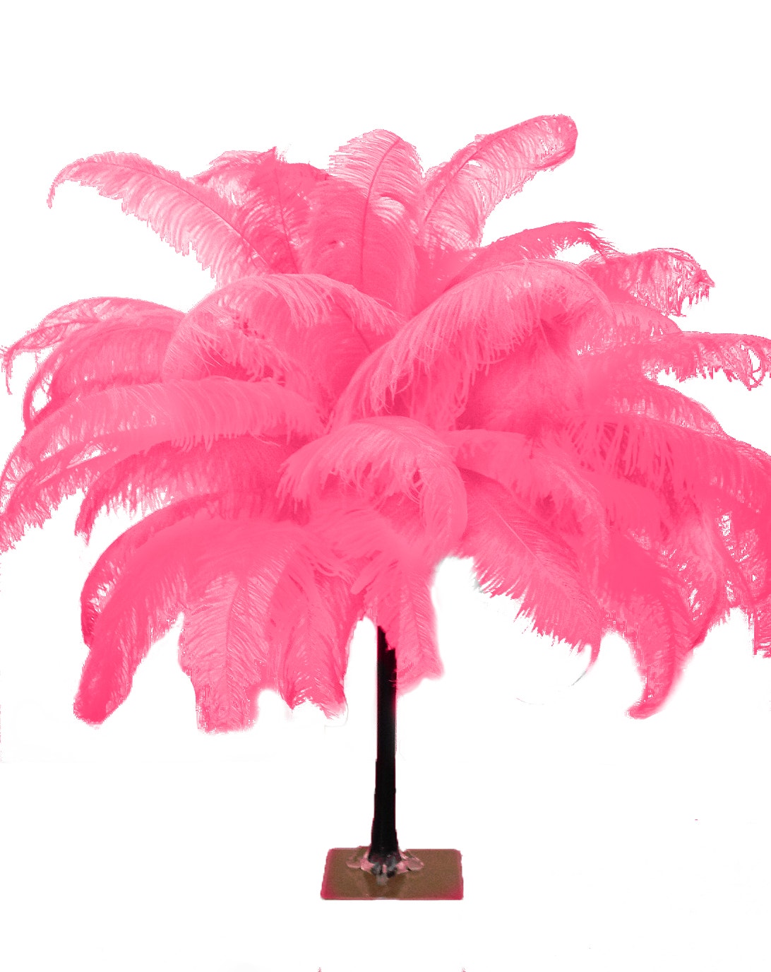 Large Ostrich Feathers - 18-24" Spads - Pink Orient
