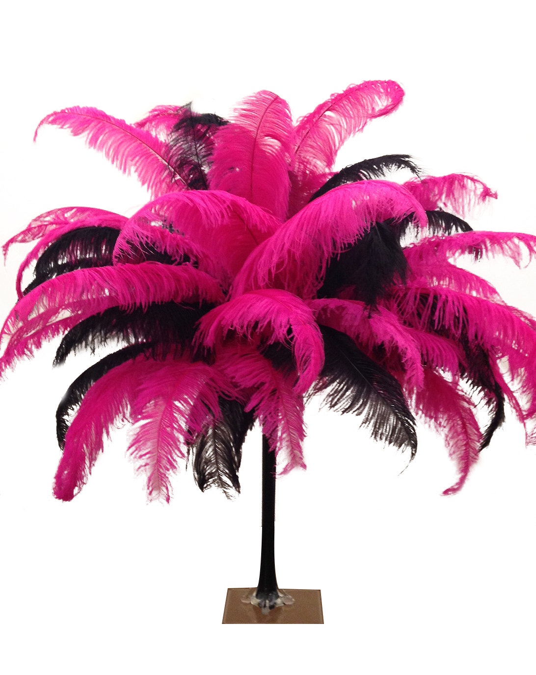 Large Ostrich Feathers - 18-24" Spads - Shocking Pink