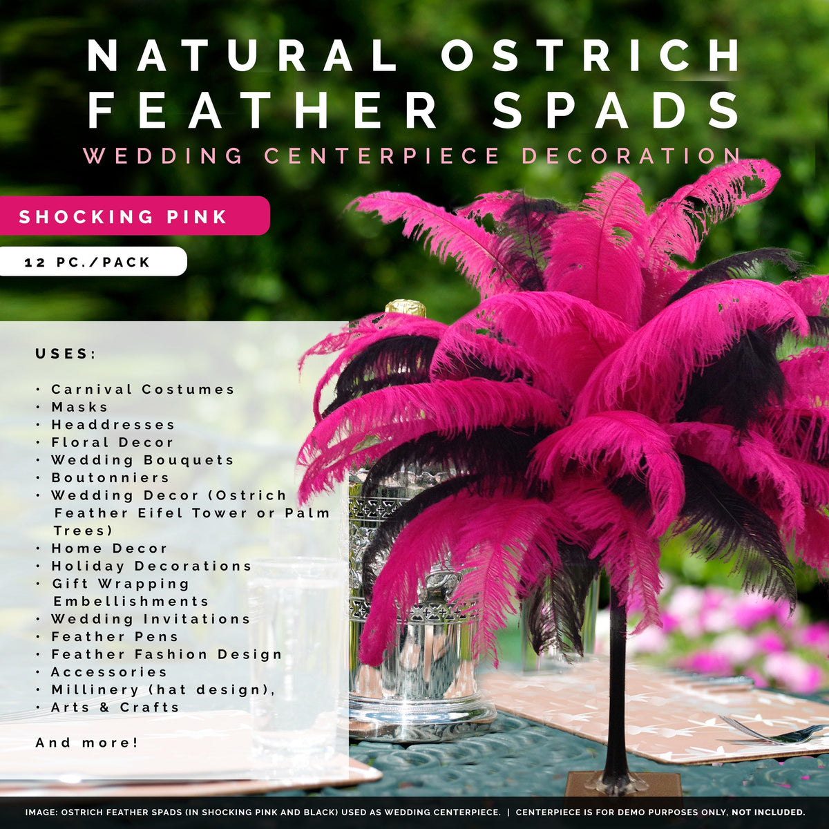 Large Ostrich Feathers - 18-24" Spads - Shocking Pink
