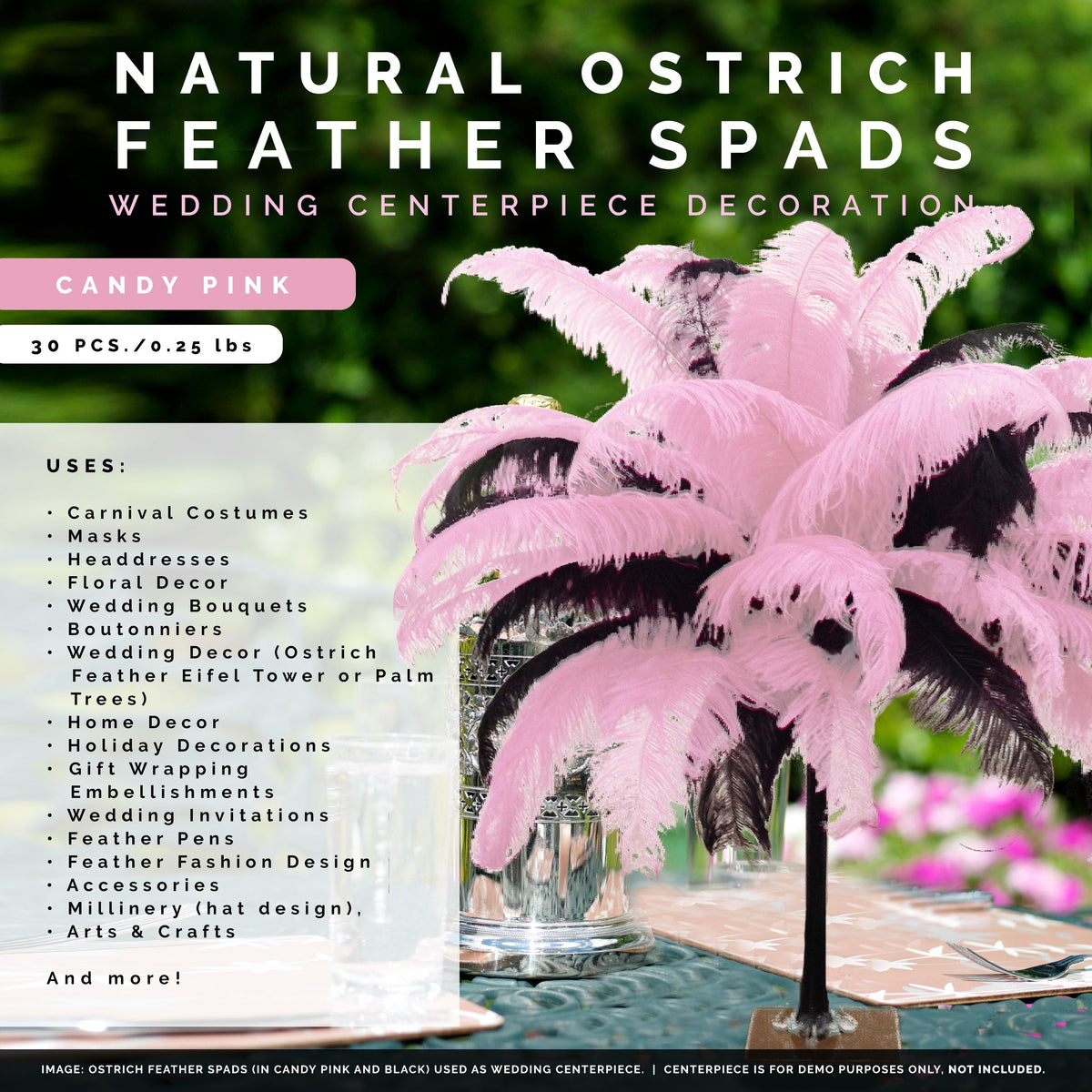Large Ostrich Feathers - 18-24" Spads - Candy Pink