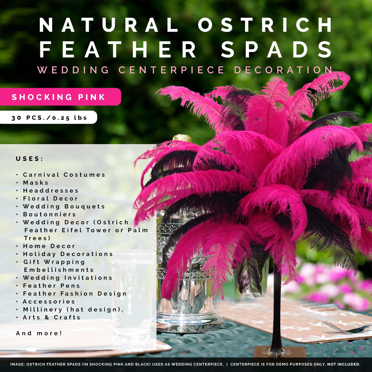Large Ostrich Feathers - 18-24" Spads - Shocking Pink