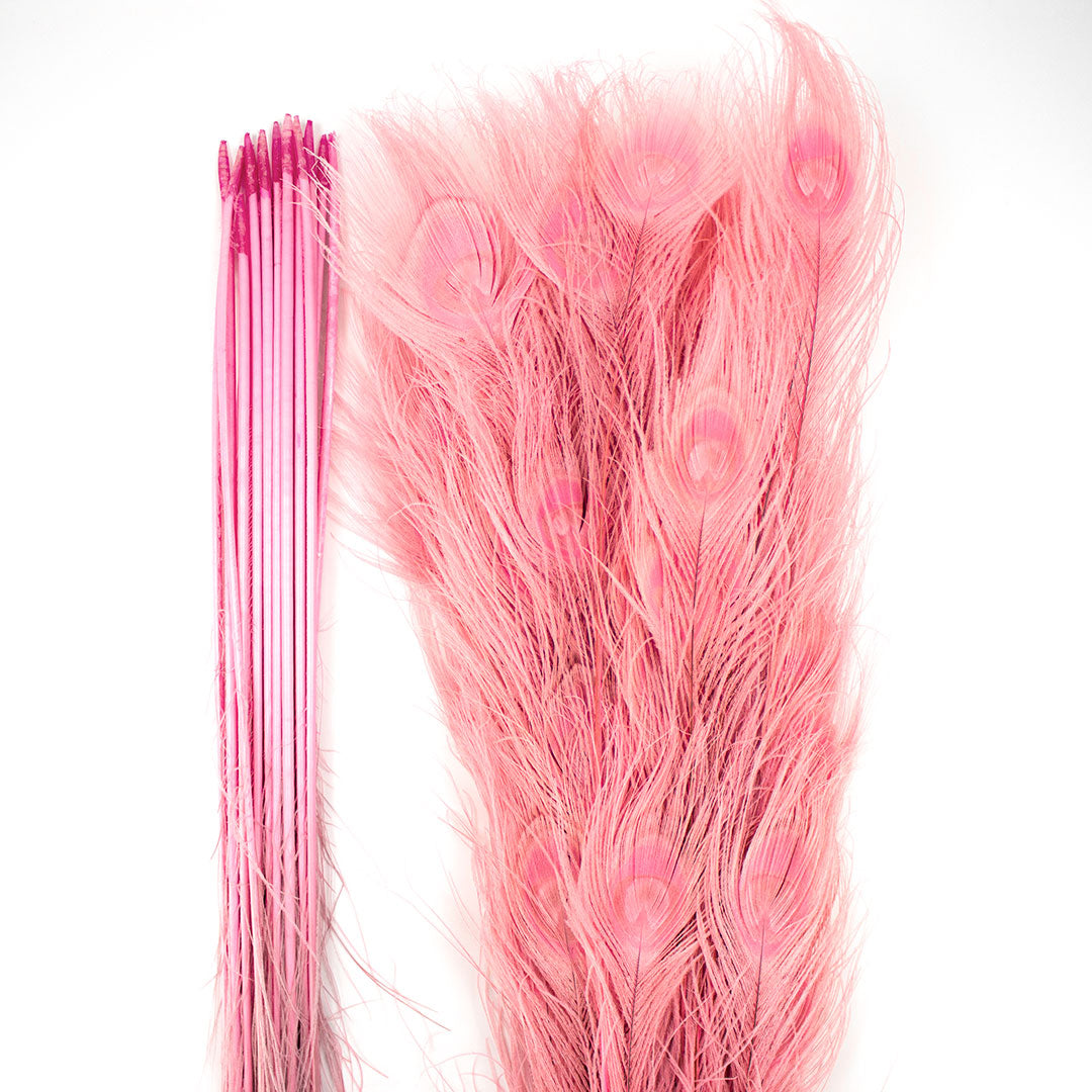 Peacock Feathers (Bulk) | 25-40" Tail Eyes | Candy Pink