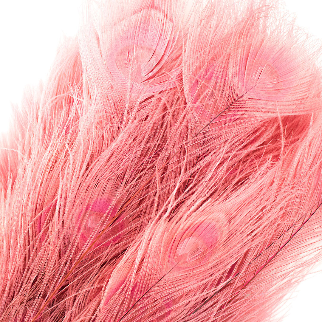 Peacock Feathers (Bulk) | 25-40" Tail Eyes | Candy Pink