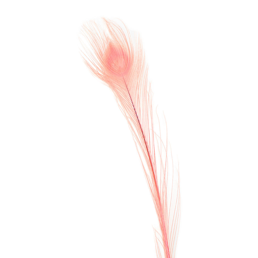 Peacock Feathers (Bulk) | 25-40" Tail Eyes | Candy Pink