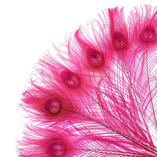 Peacock Feather Eyes Bleached & Dyed Shocking Pink