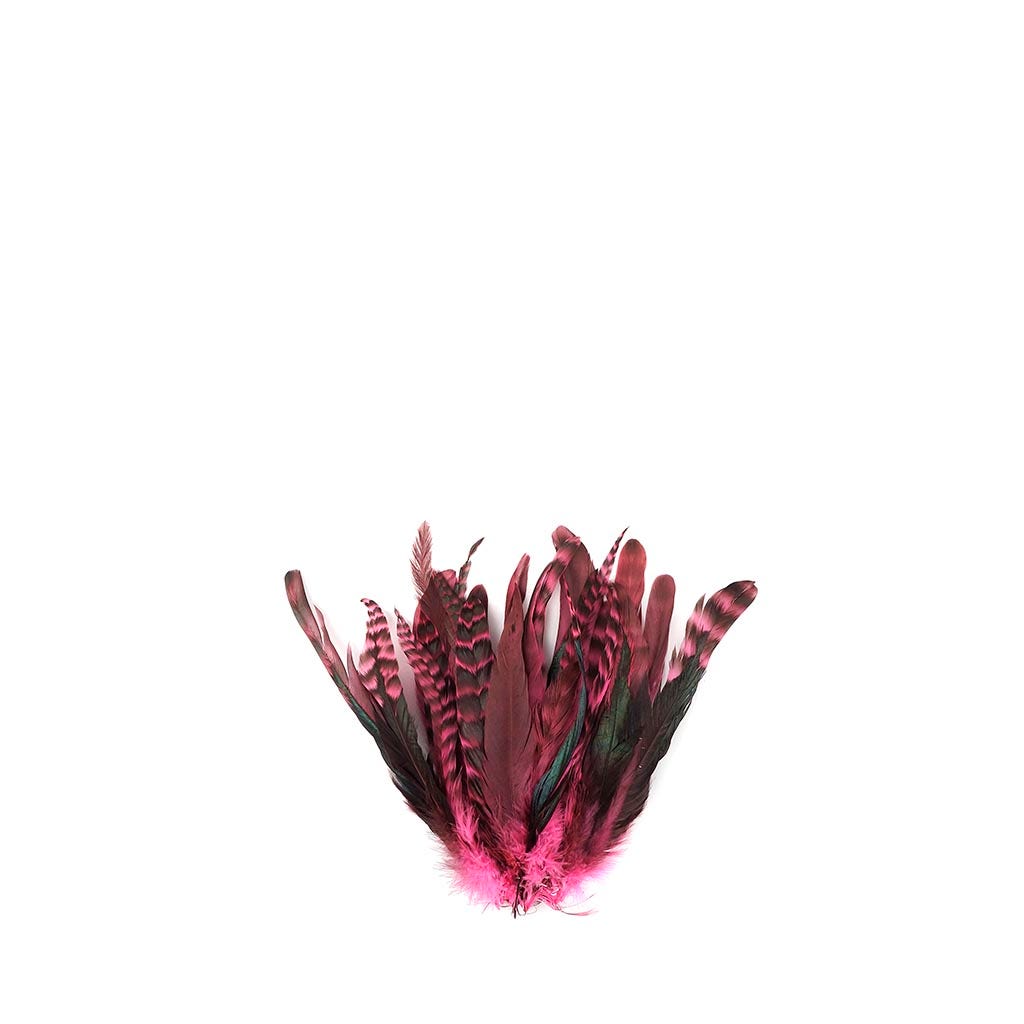 Rooster Coque Tails-Chinchilla Pink Orient
