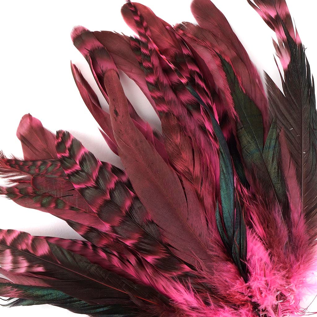 Rooster Coque Tails-Chinchilla Pink Orient