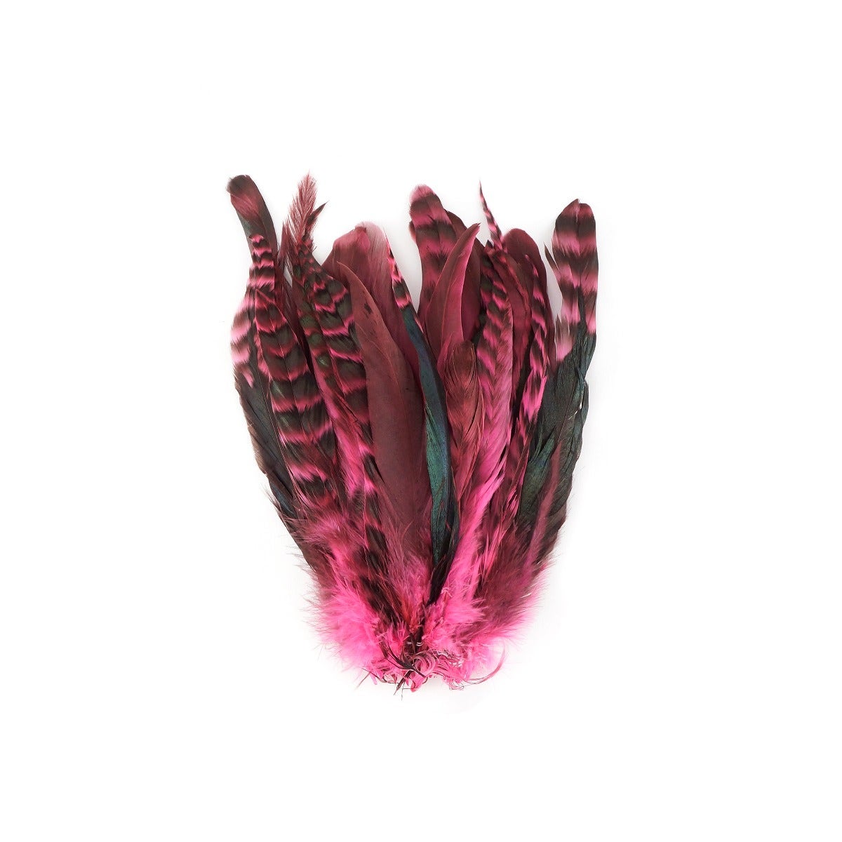 Rooster Coque Tails-Chinchilla Pink Orient