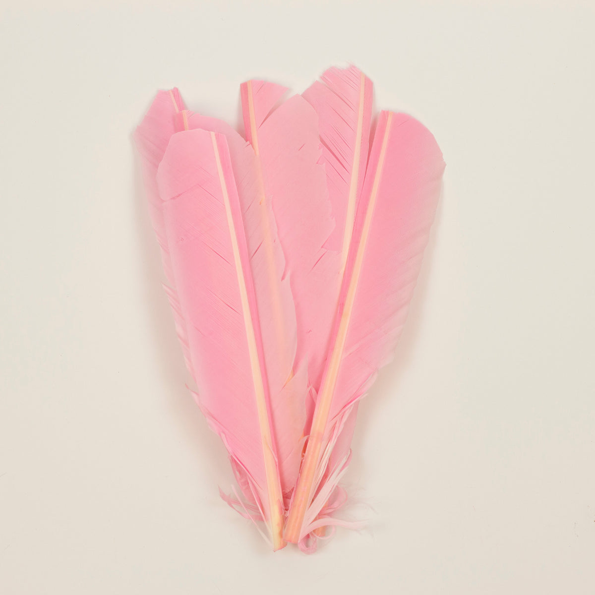 Candy Pink Cut Turkey Pointer Feathers 8-12"