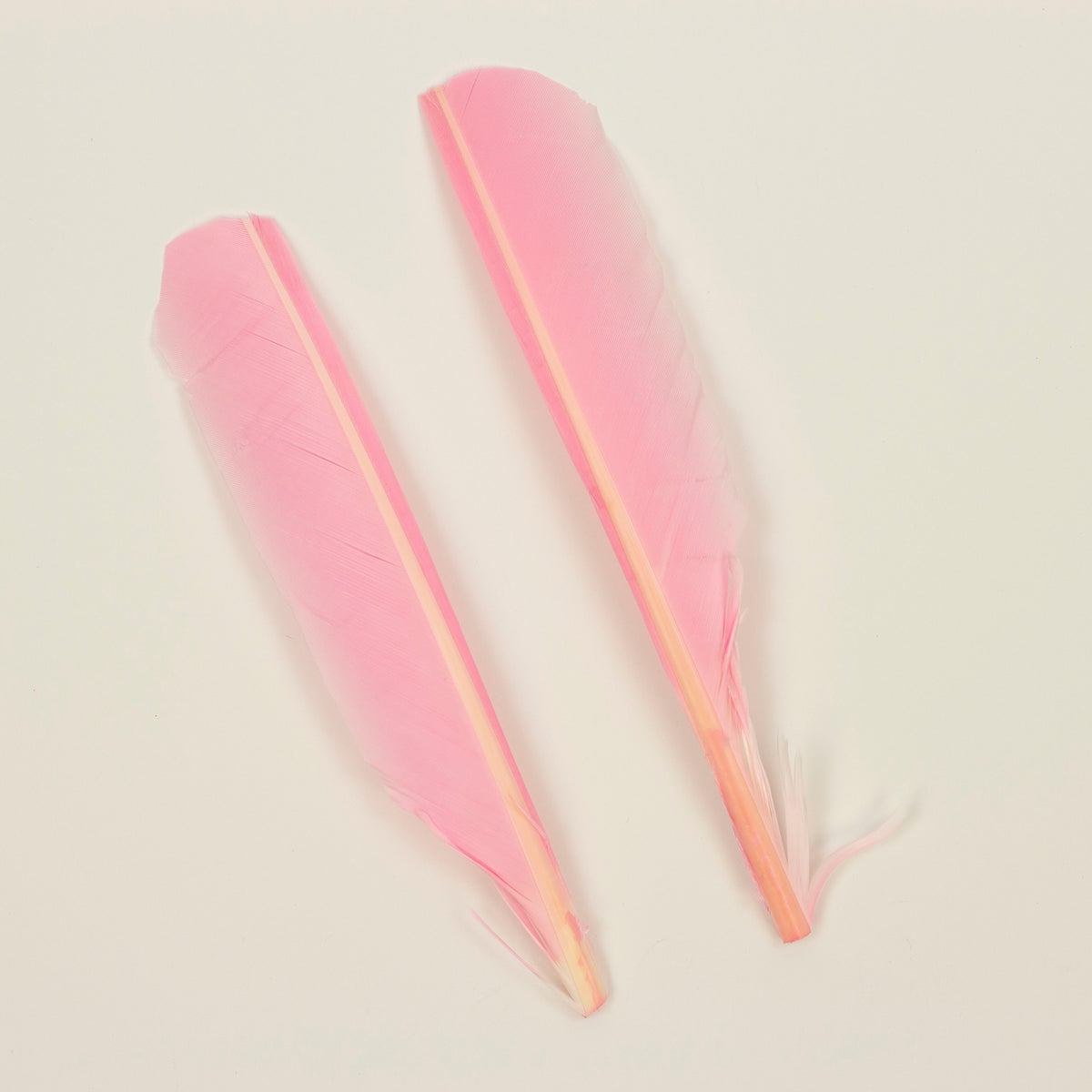 Candy Pink Cut Turkey Pointer Feathers 8-12"