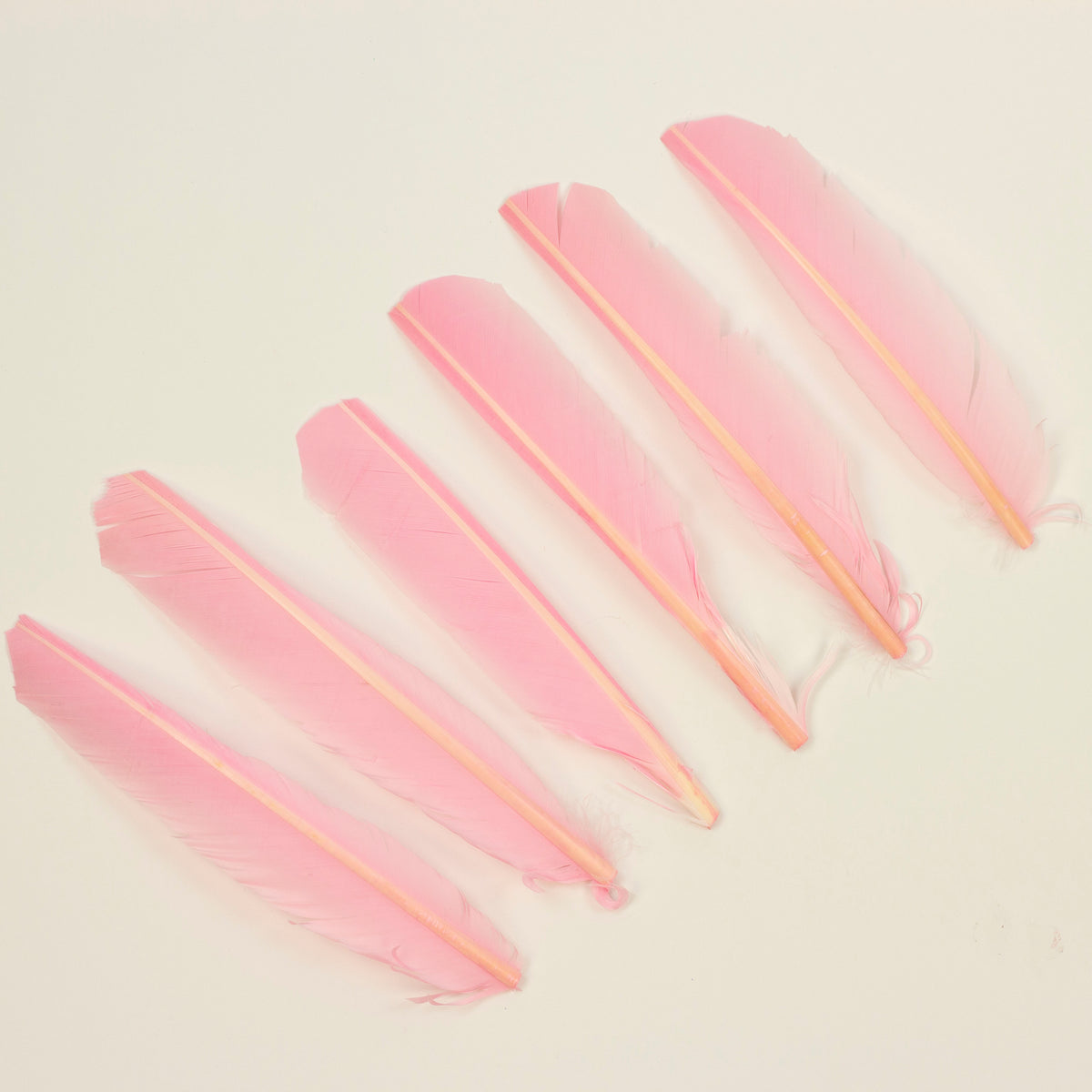Candy Pink Cut Turkey Pointer Feathers 8-12"