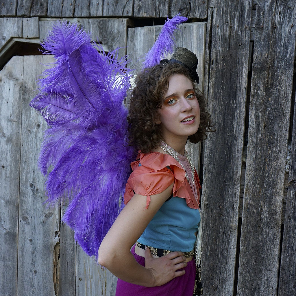 Large Ostrich Feather Wings  -  Lavender