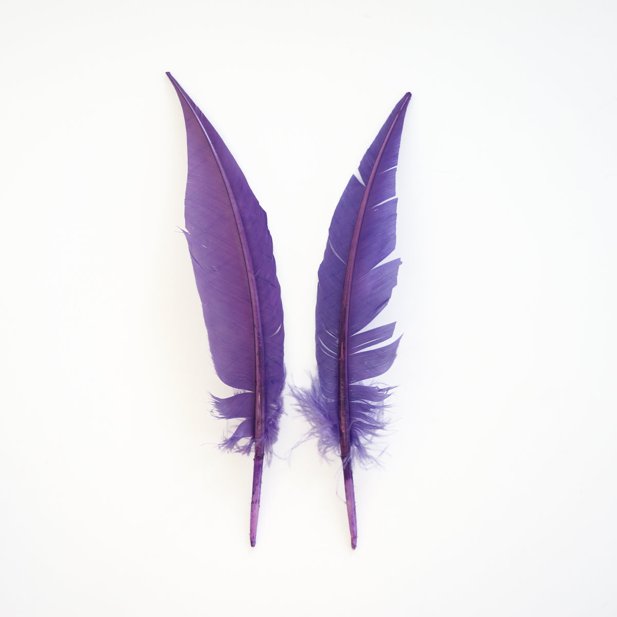 Lavender Dagger Turkey Quill Feathers 9-12"