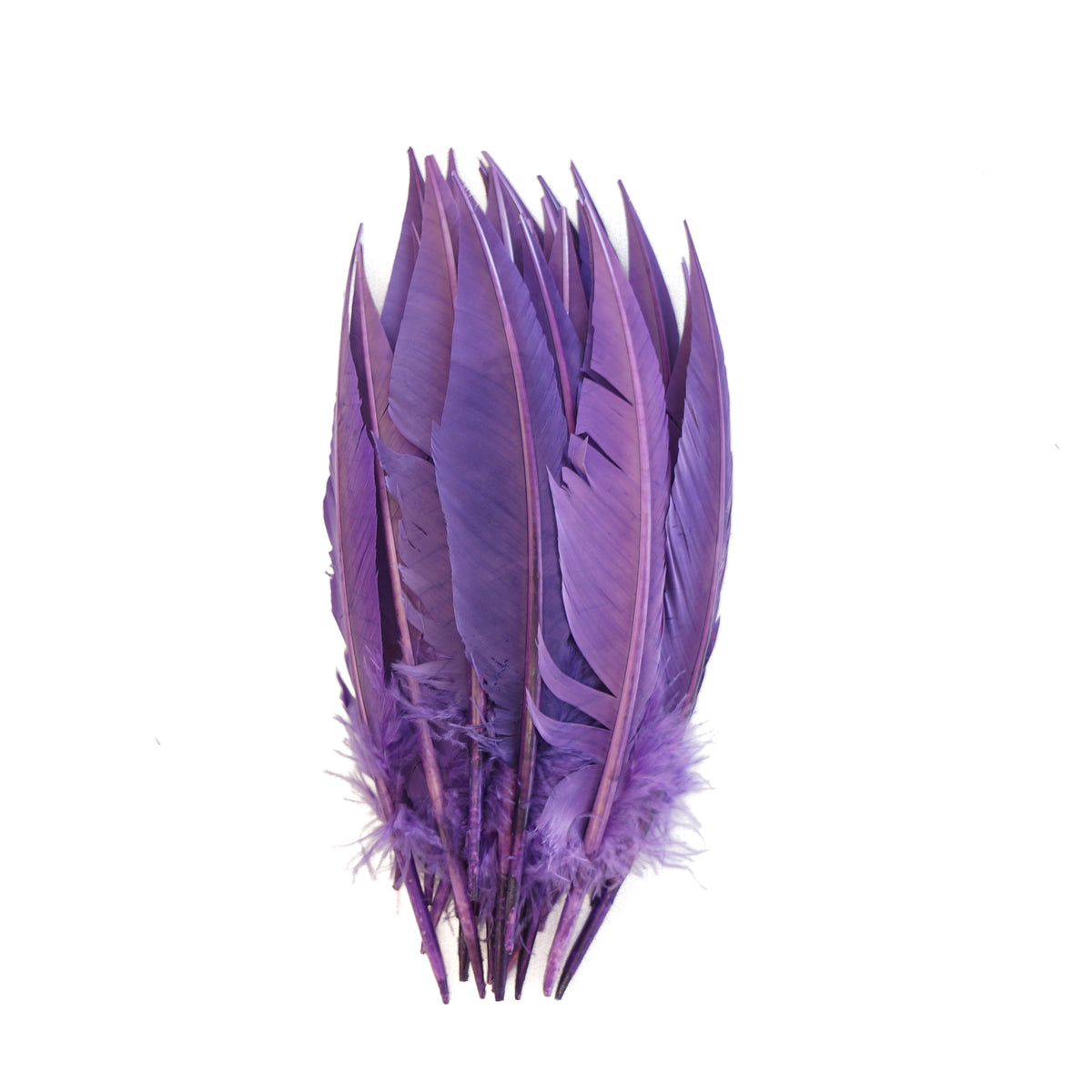 Lavender Dagger Turkey Quill Feathers 9-12"