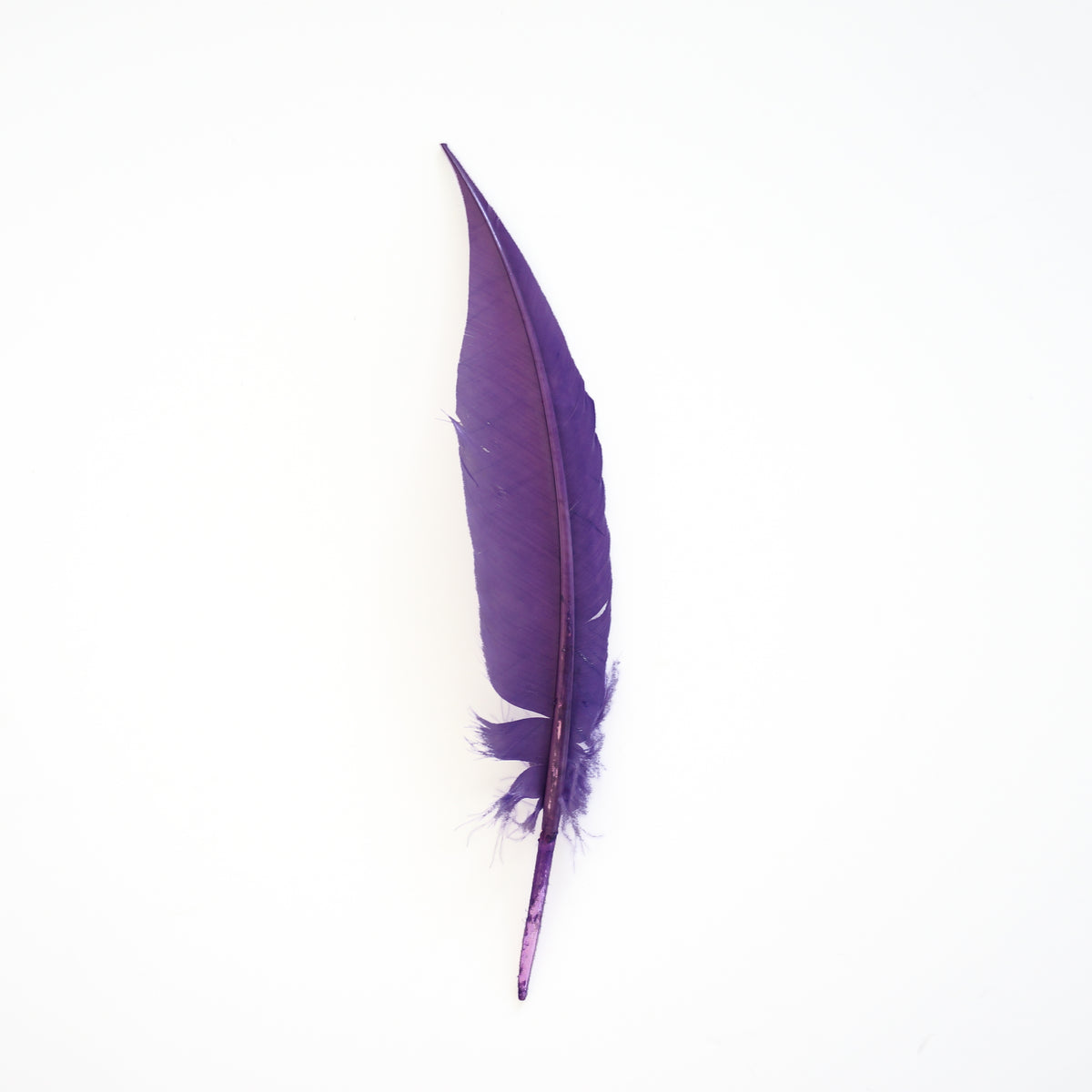 Lavender Dagger Turkey Quill Feathers 9-12"