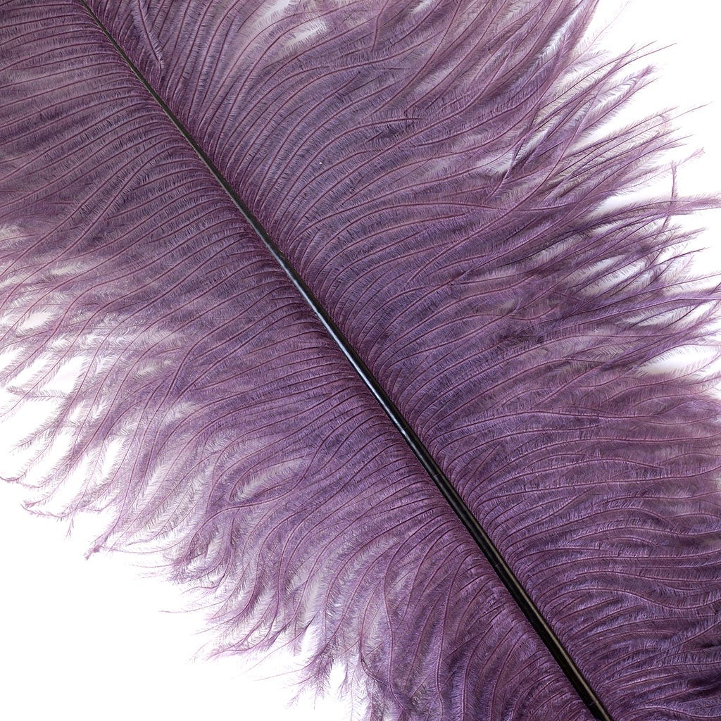 Large Ostrich Feathers - 17"+ Drabs - Amethyst