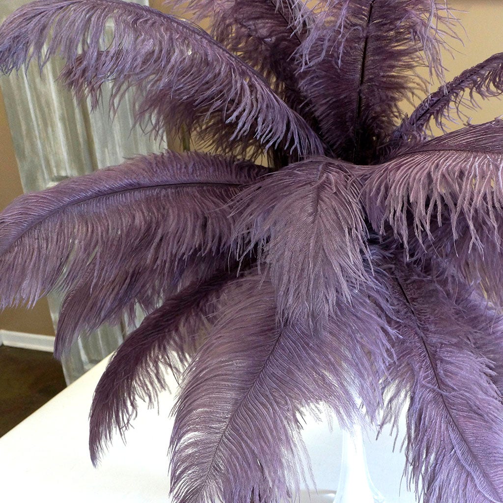 Large Ostrich Feathers - 17"+ Drabs - Amethyst