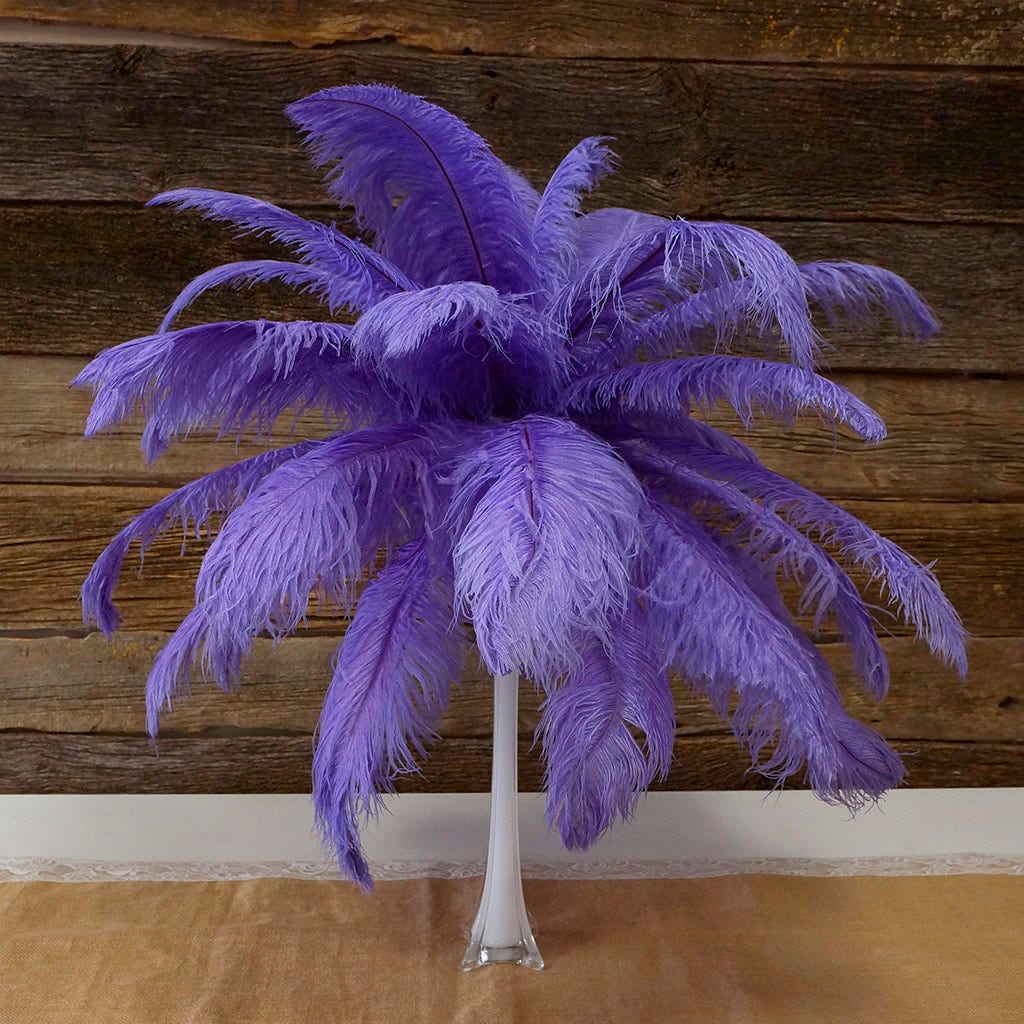 Large Ostrich Feathers - 17"+ Drabs - Lavender