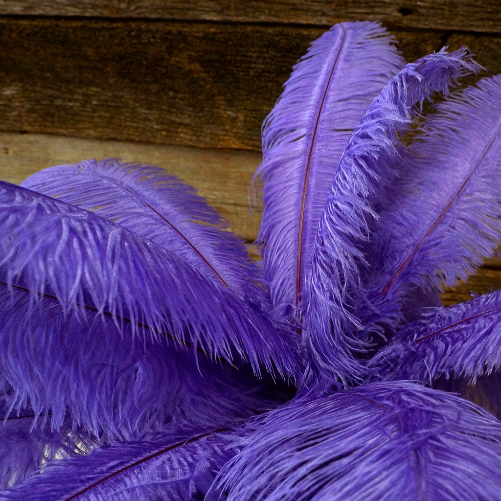 Large Ostrich Feathers - 17"+ Drabs - Lavender