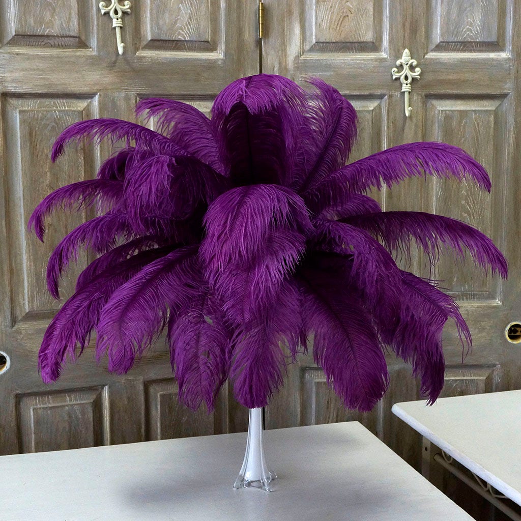 Large Ostrich Feathers - 17"+ Drabs - Purple