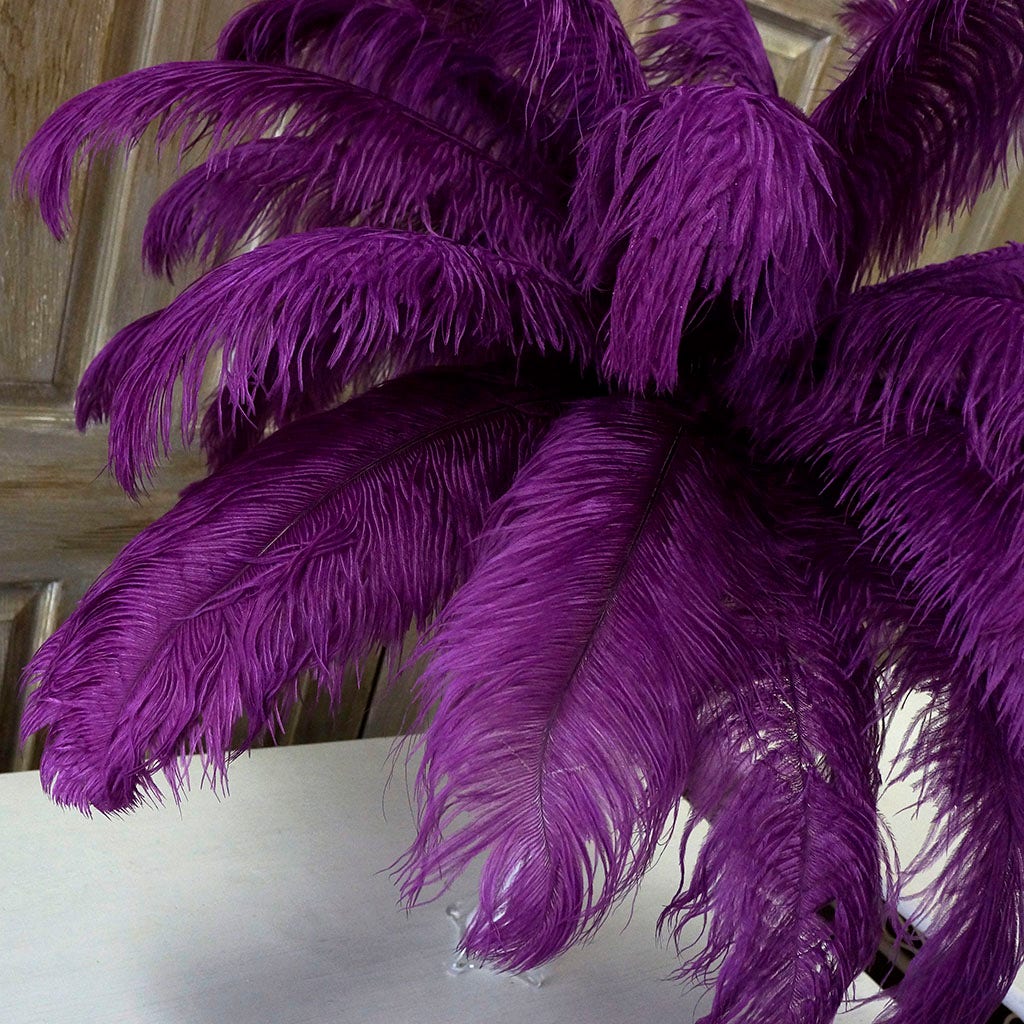 Large Ostrich Feathers - 17"+ Drabs - Purple