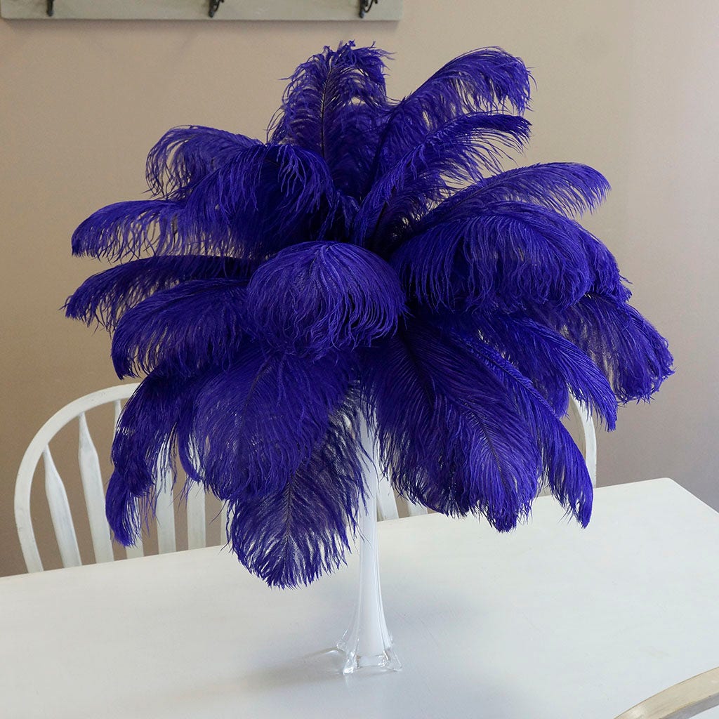 Large Ostrich Feathers - 17"+ Drabs - Regal