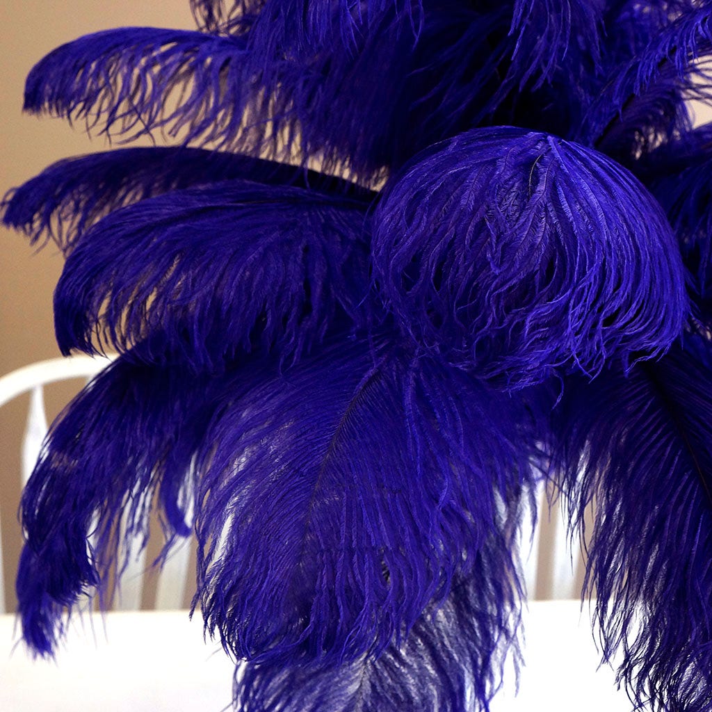 Large Ostrich Feathers - 17"+ Drabs - Regal