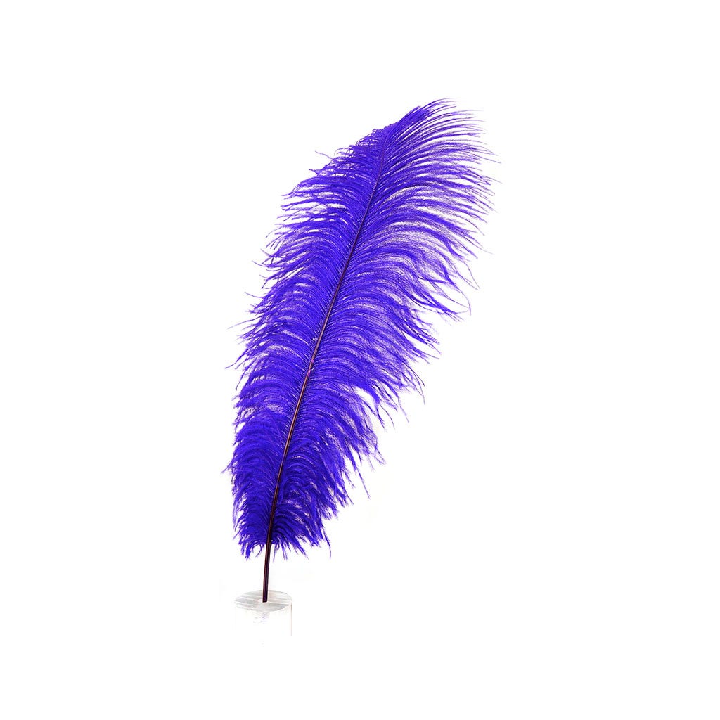 Large Ostrich Feathers - 17"+ Drabs - Regal