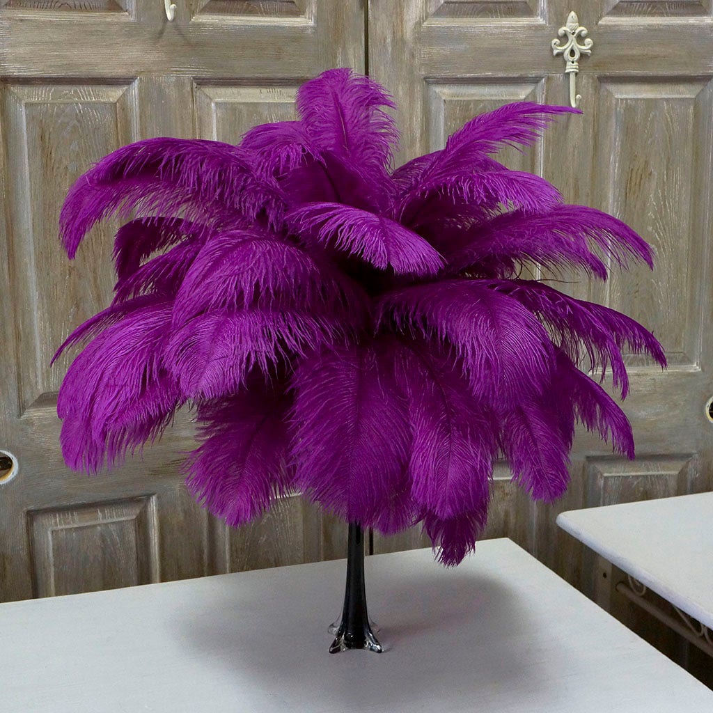 Large Ostrich Feathers - 17"+ Drabs - Very Berry