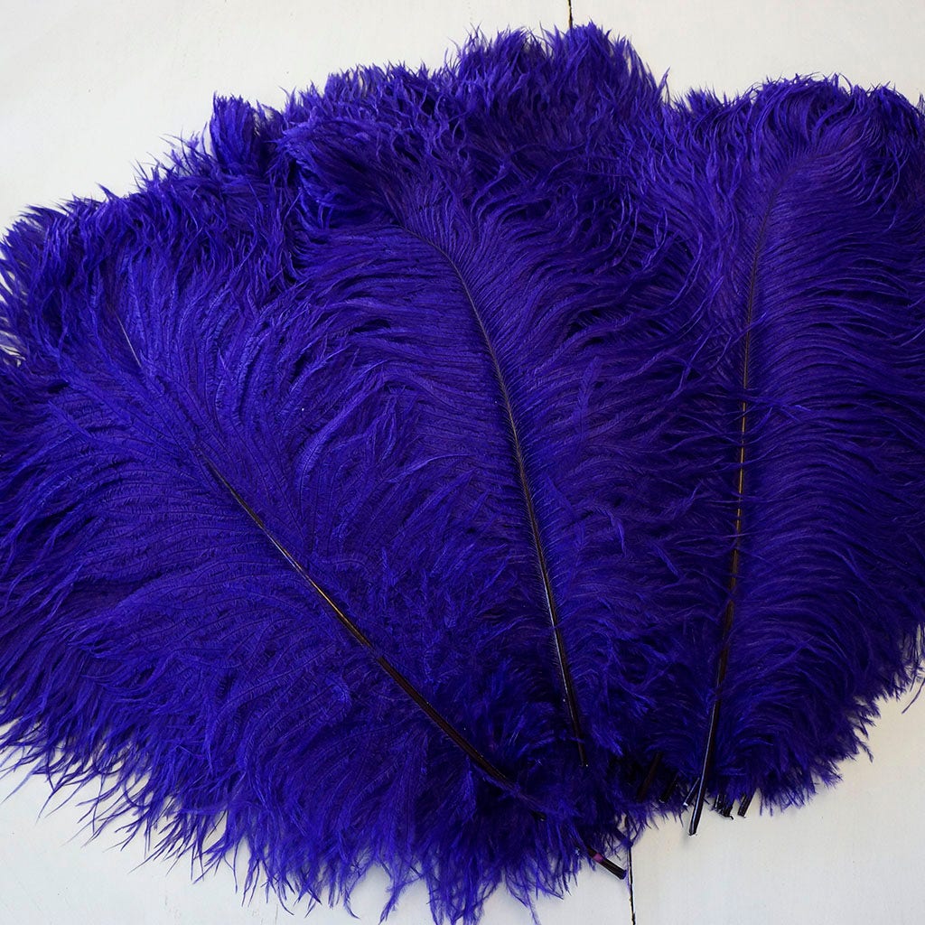 Large Ostrich Feathers - 17"+ Drabs - Regal