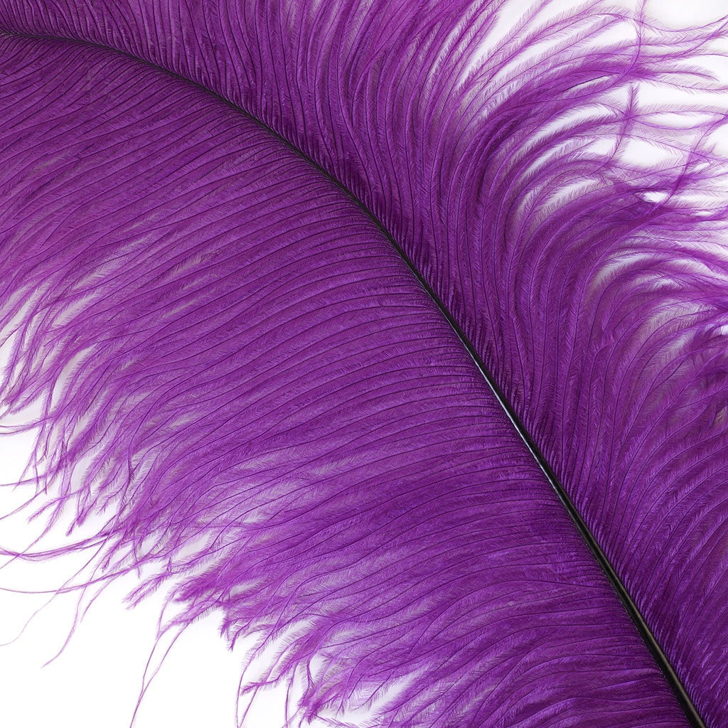 Ostrich Feathers 13-16" Drabs - Purple