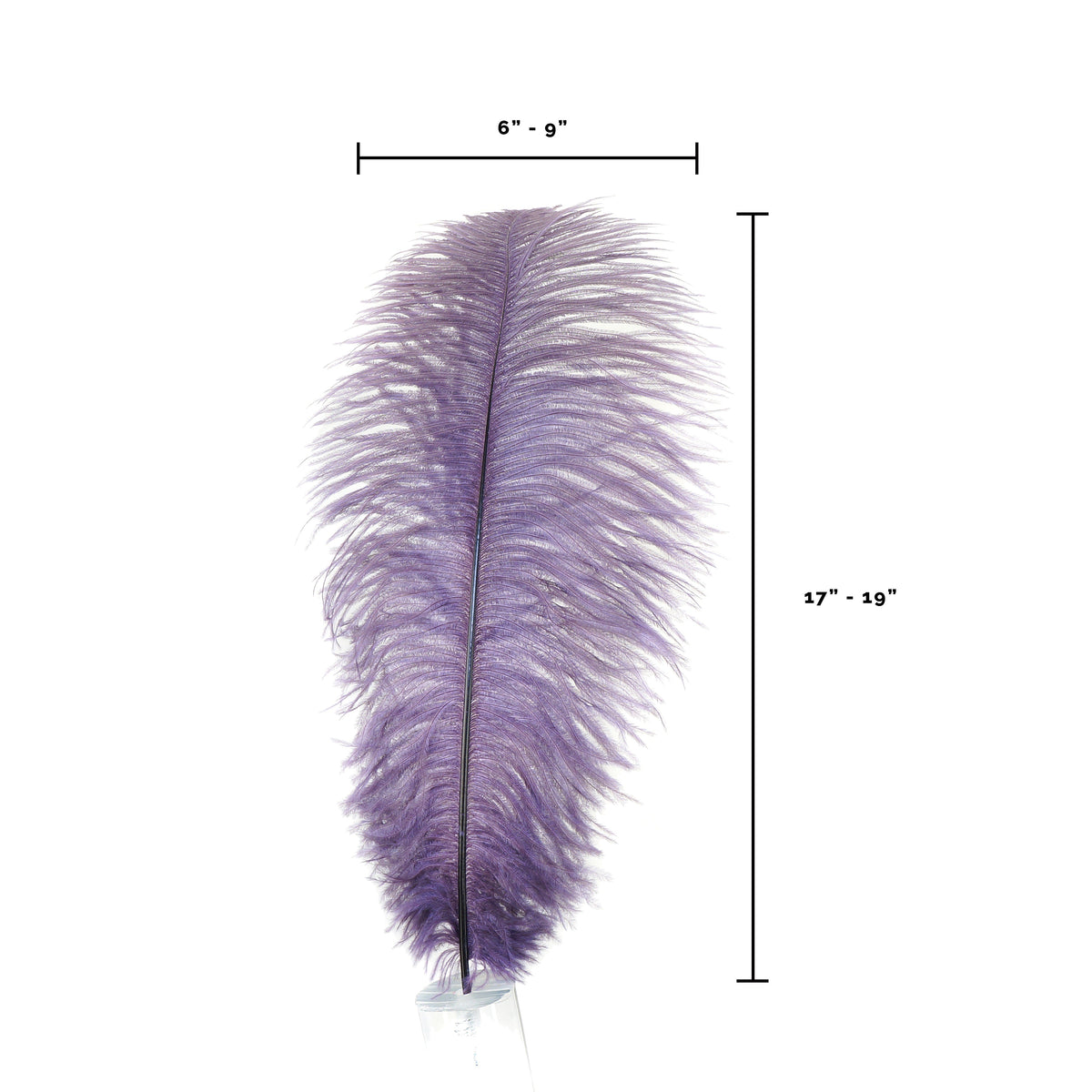 Large Ostrich Feathers - 17"+ Drabs - Amethyst