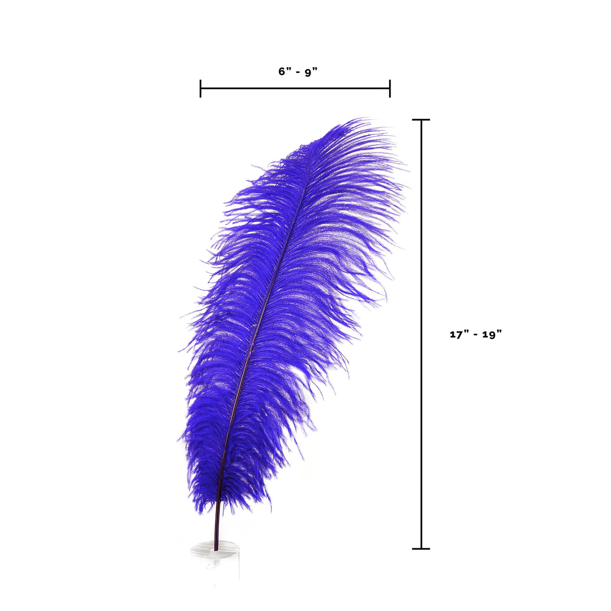 Large Ostrich Feathers - 17"+ Drabs - Regal