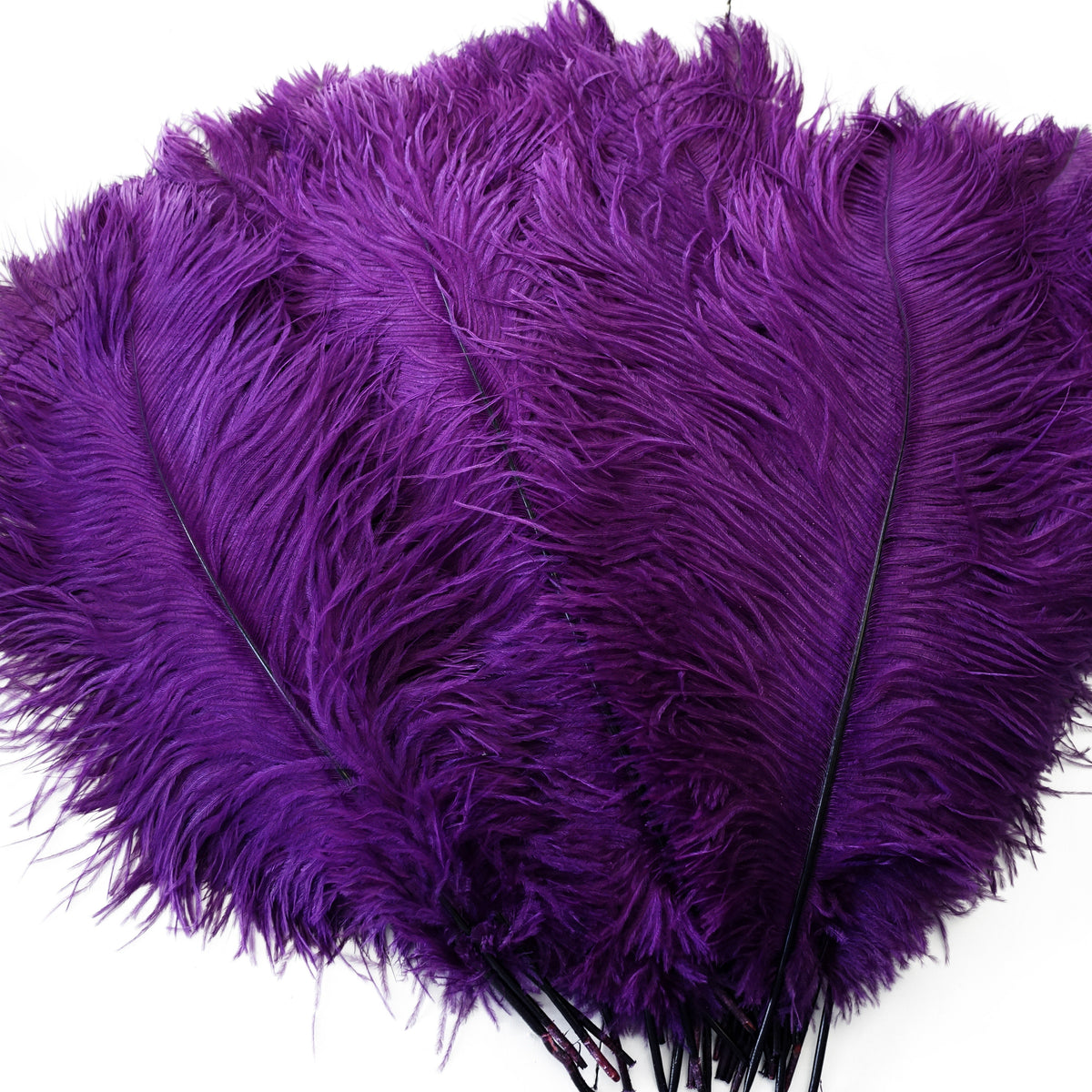 Large Ostrich Feathers - 17"+ Drabs - Purple