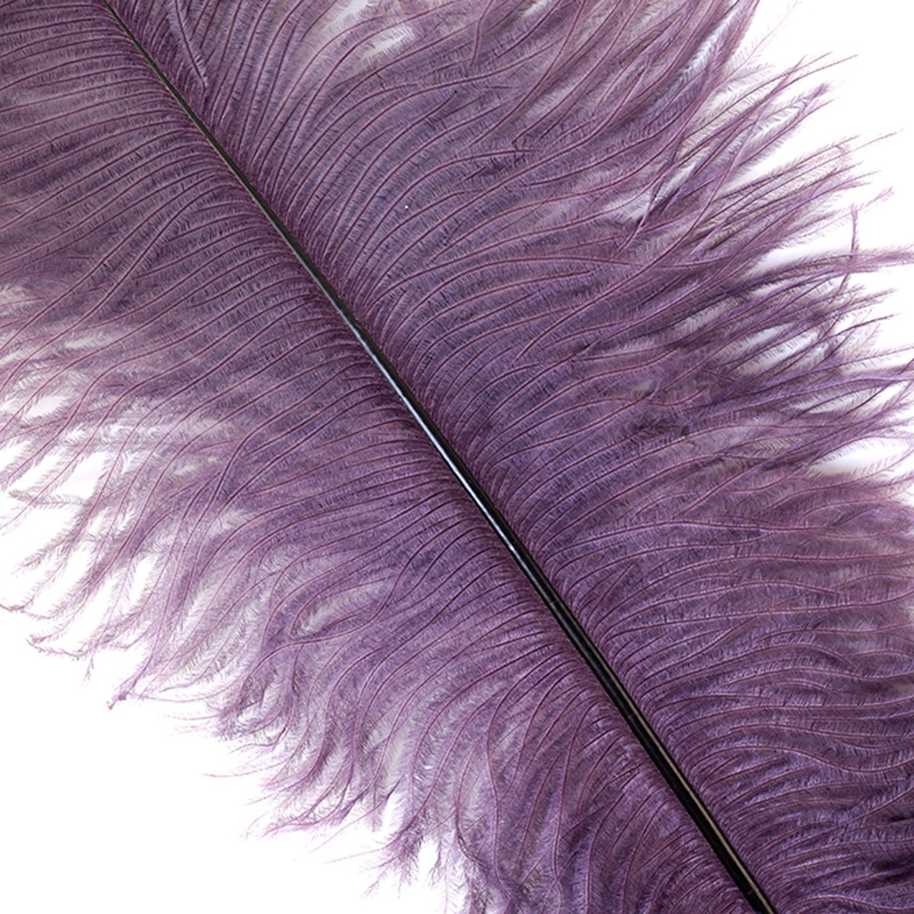 Ostrich Feathers 13-16" Drabs - Amethyst