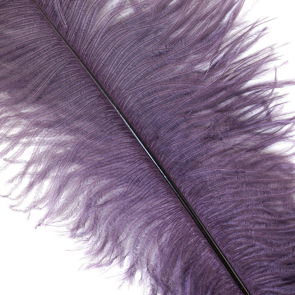Ostrich Feathers 13-16" Drabs - Amethyst