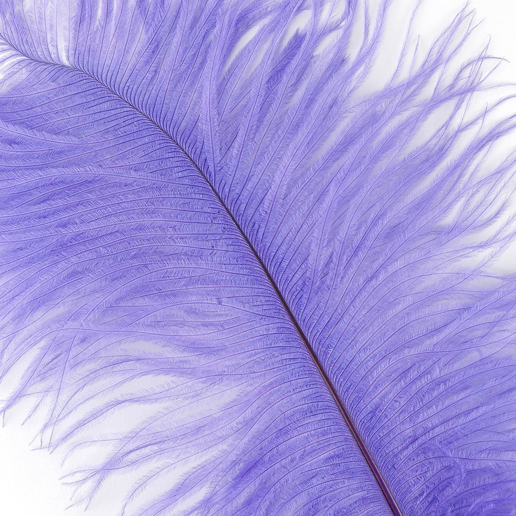 Ostrich Feathers 13-16" Drabs - Lavender
