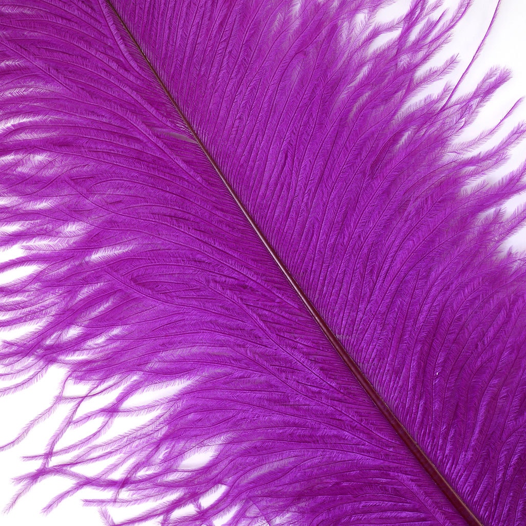 Ostrich Feathers 13-16" Drabs - Very Berry