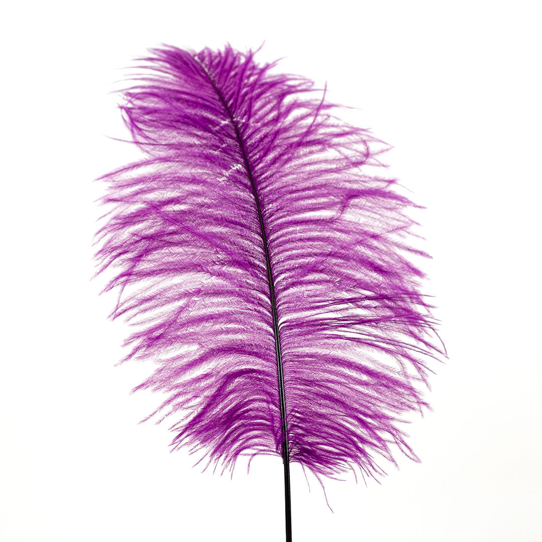 Ostrich Feathers - 16-18" Tail Feathers - Purple