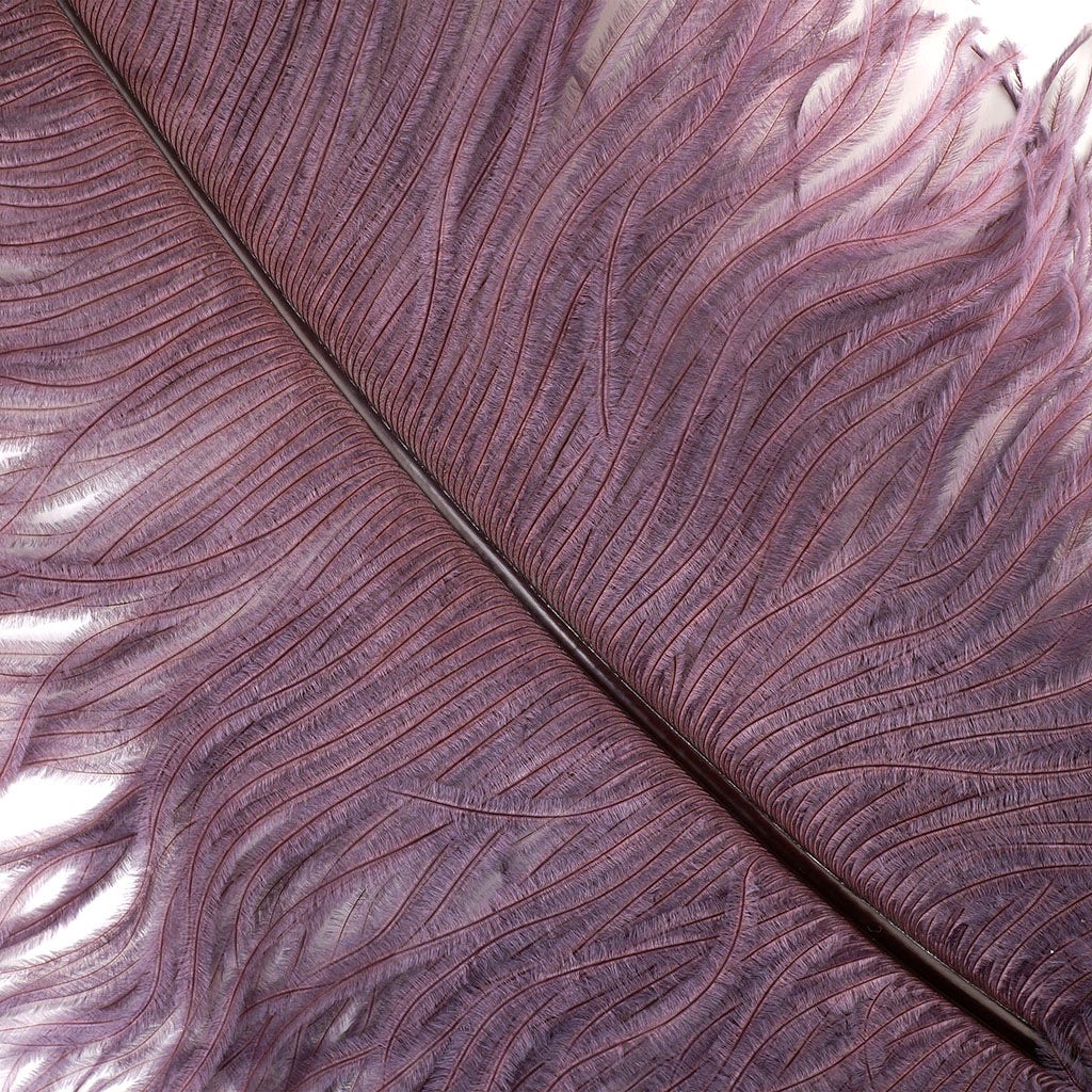 Large Ostrich Feathers - 24-30" Prime Femina Plumes - Amethyst