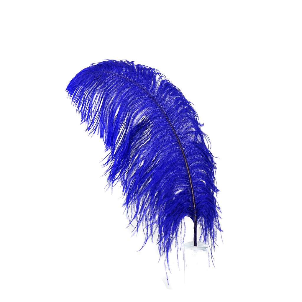 Large Ostrich Feathers - 20-25" Prime Femina Plumes - Regal