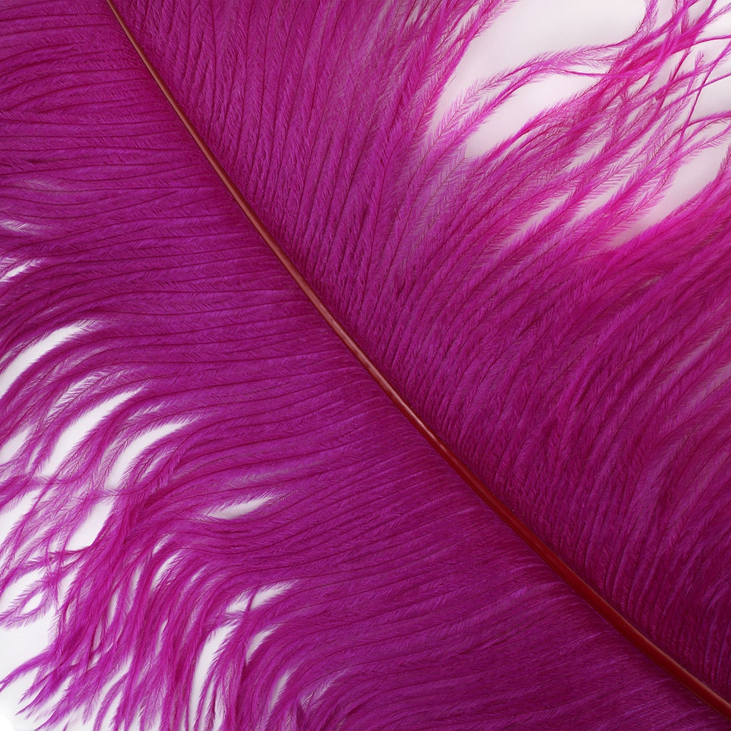 Large Ostrich Feathers - 20-25" Prime Femina Plumes - Very Berry