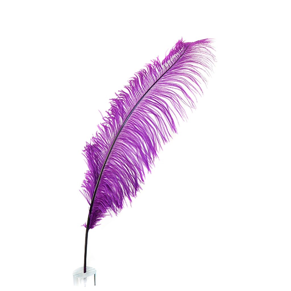 Large Ostrich Feathers - 18-24" Spads - Purple